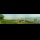 Test photo 3 - Mode panoramique